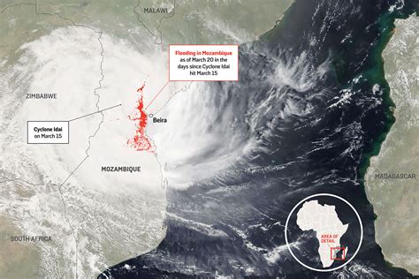 Bet365 Mozambique (2020) .